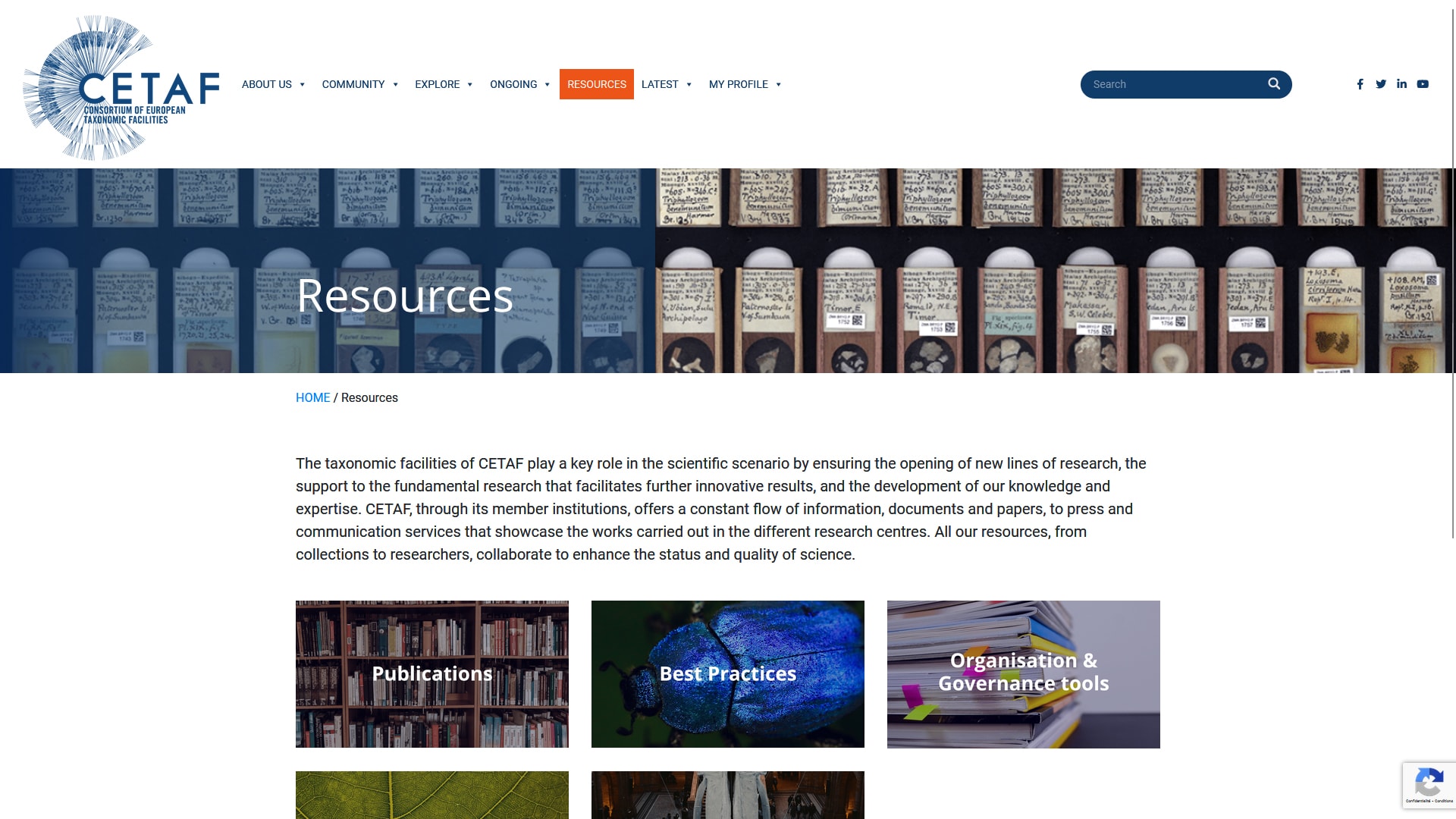 CETAF - Consortium of European Taxonomic Facilities