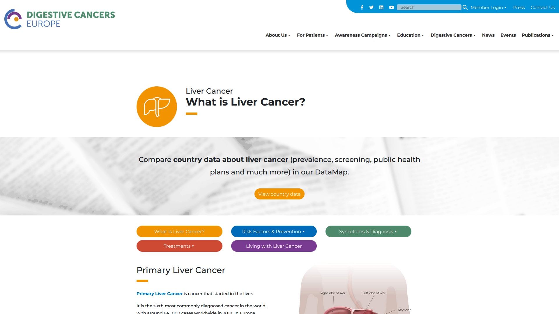 Digestive Cancers Europe Website