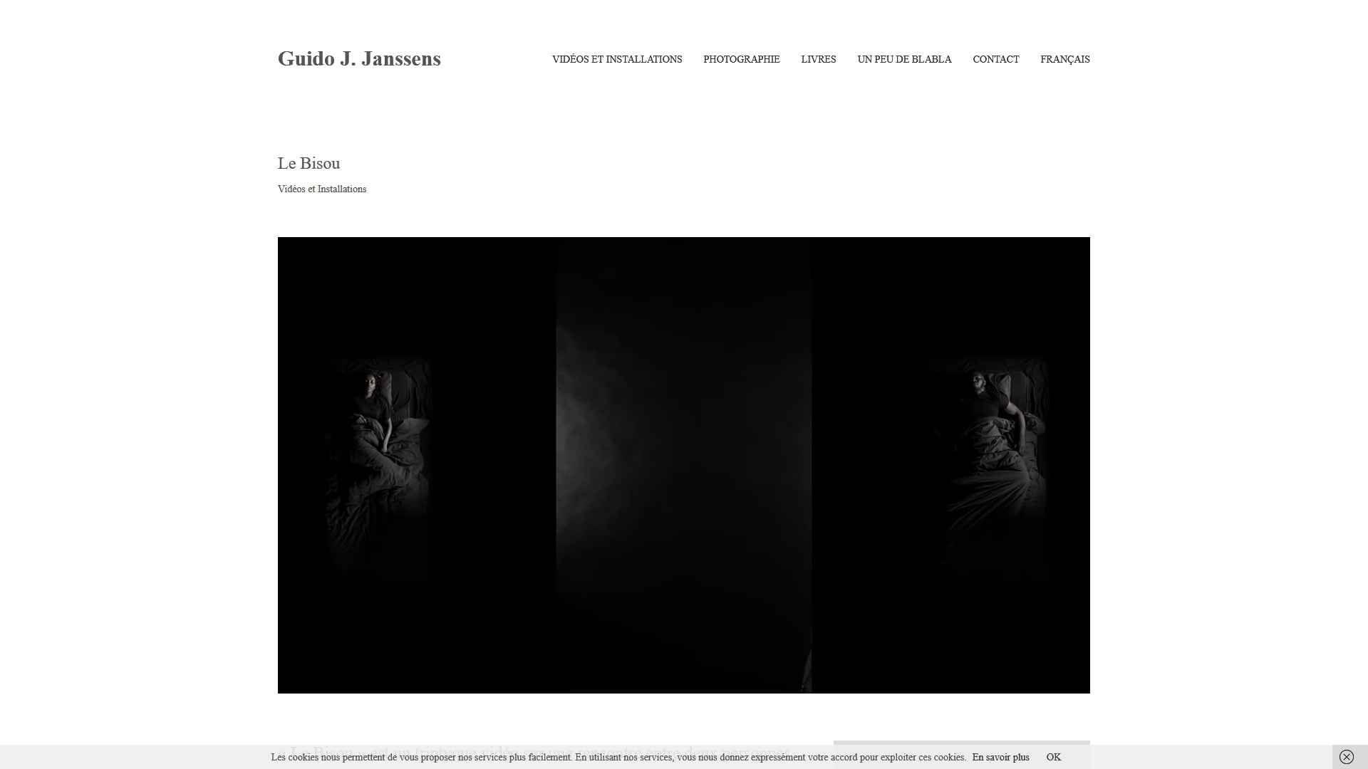 Guido Janssens Artist website